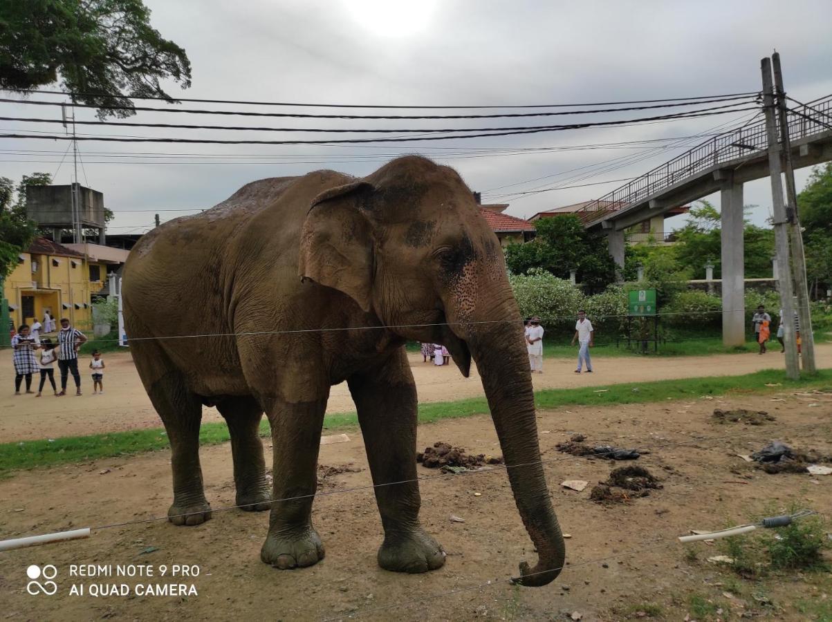 Geethani Tourist Home Polonnaruwa Luaran gambar